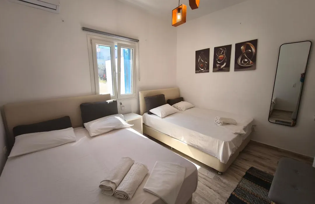 Villa Vasilis Ornos-1